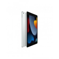 10.2-inch iPad Wi-Fi 256GB - Argento