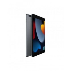 10.2-inch iPad Wi-Fi + Cellular 256GB - Grigio Siderale